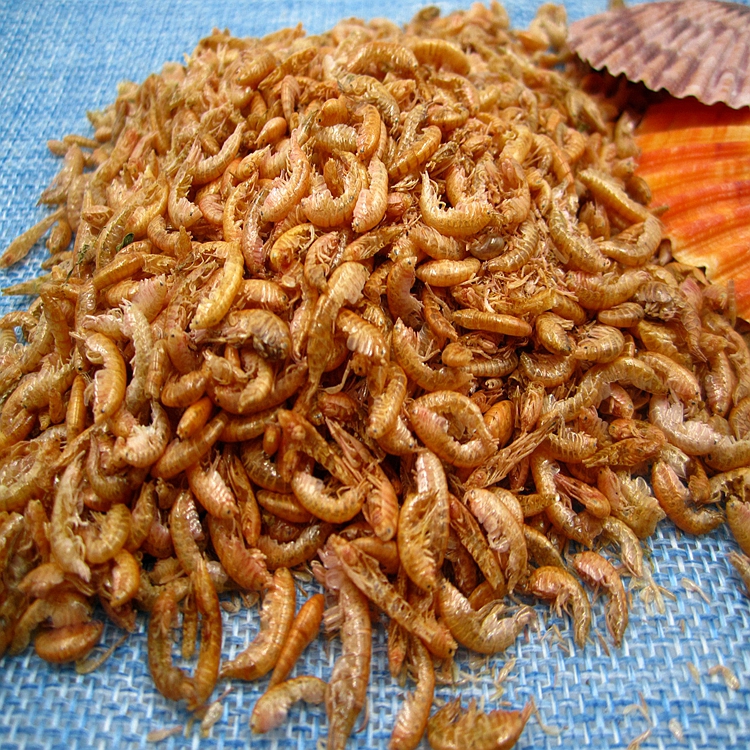 Dried Gammarus for Pet Fish Food High Nutrition